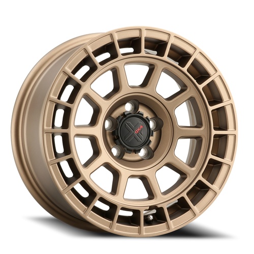 DX4 Pocket Frozen Bronze Photo