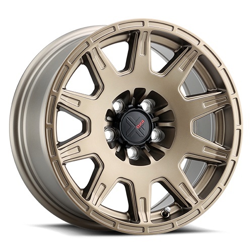 DX4 X-Trail Rally Bronze Photo