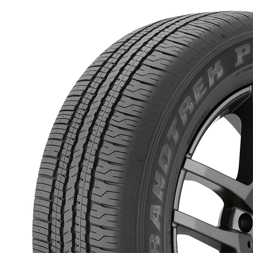Dunlop Grandtrek PT21 - Part Number 290016804 Dunlop Grandtrek PT21 Photo